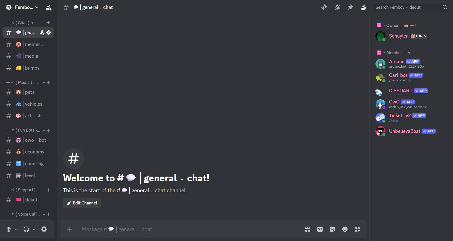Create a discord server for you, photo 3